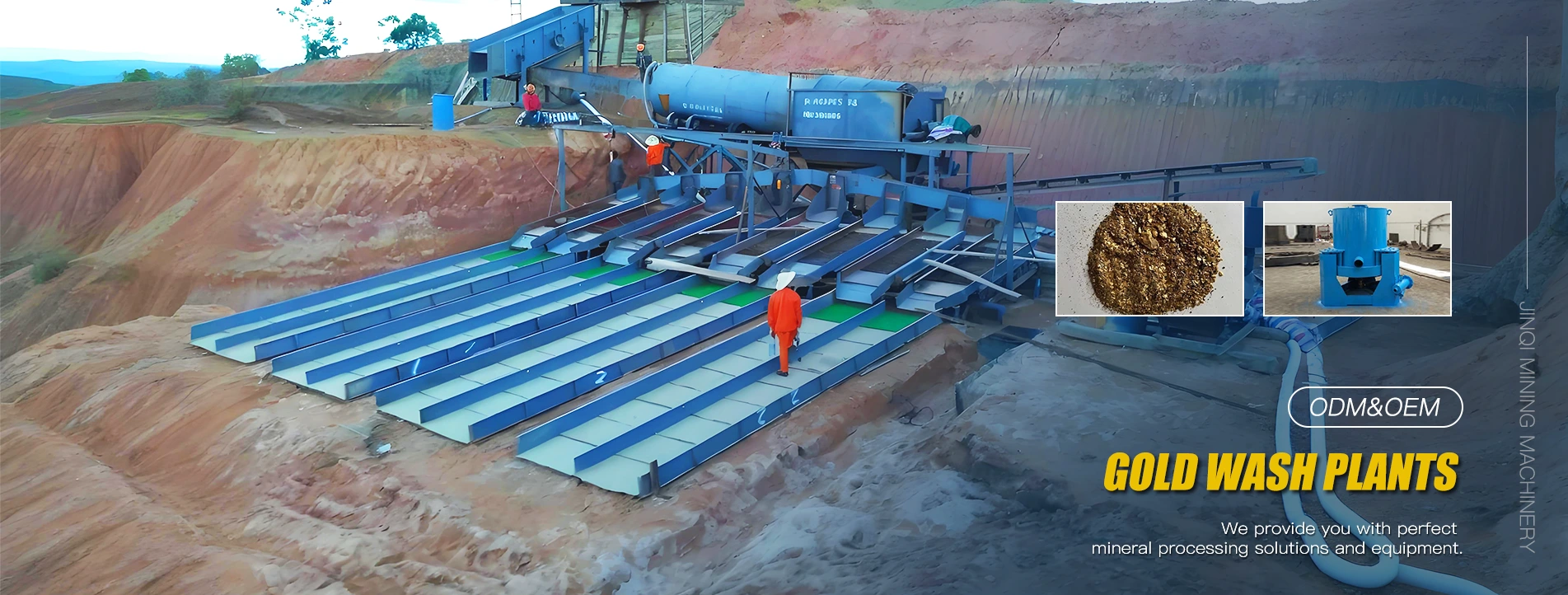 Aranymosó növények szállítója Kínában