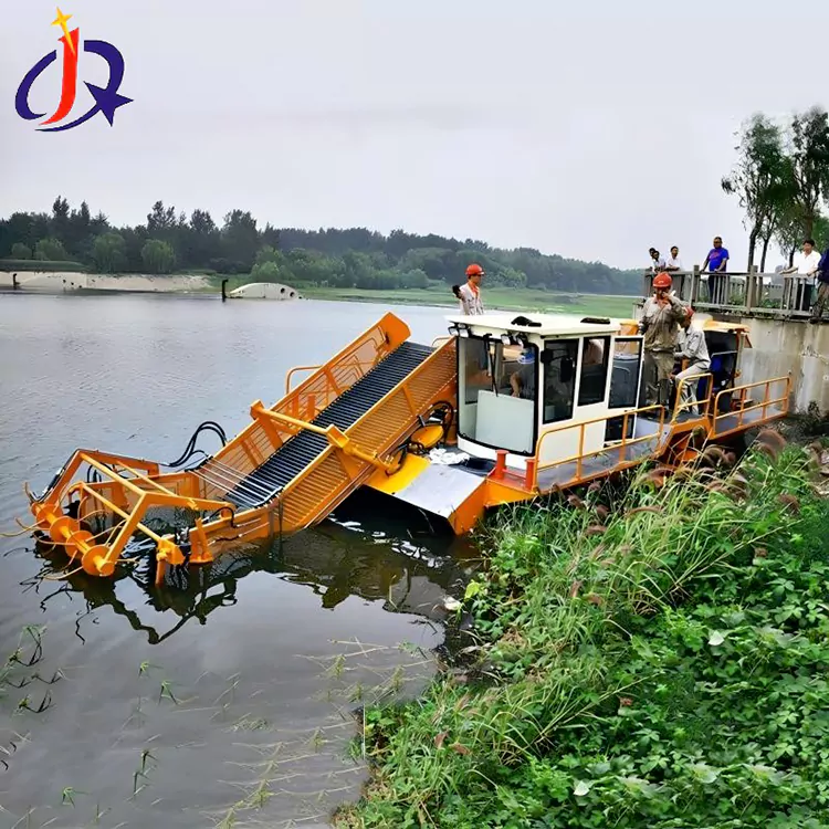 Jácint és békalencse Vágó Hajó